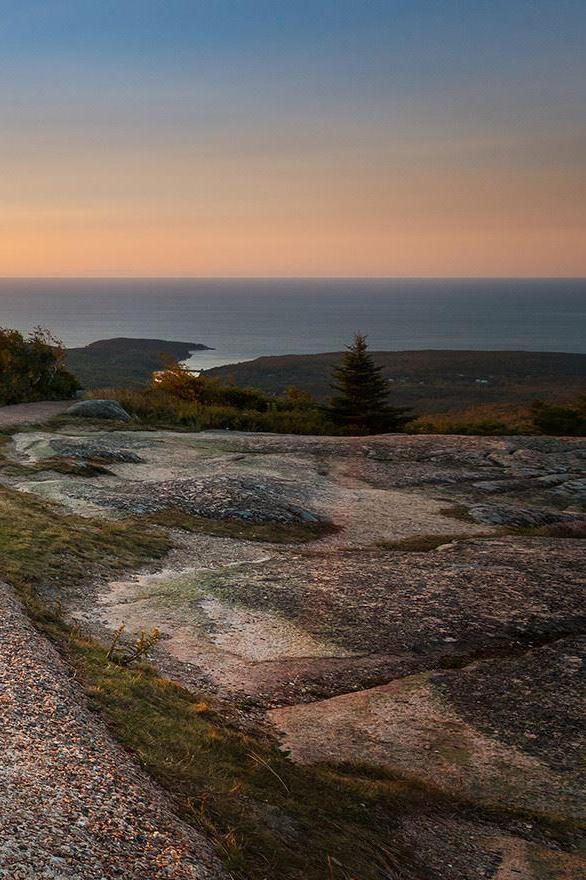 Shore Path
