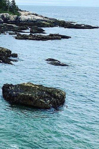 Schoodic Point